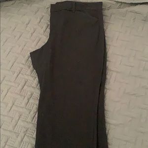 Black Pixie Pants